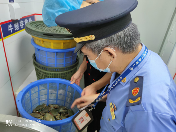 自动转存图片