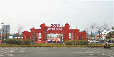 图片8